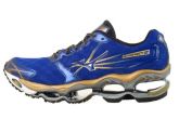 Mizuno wave prophecy 2