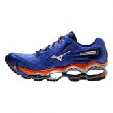 mizuno wave prophecy 2