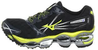 mizuno wave prophecy 2